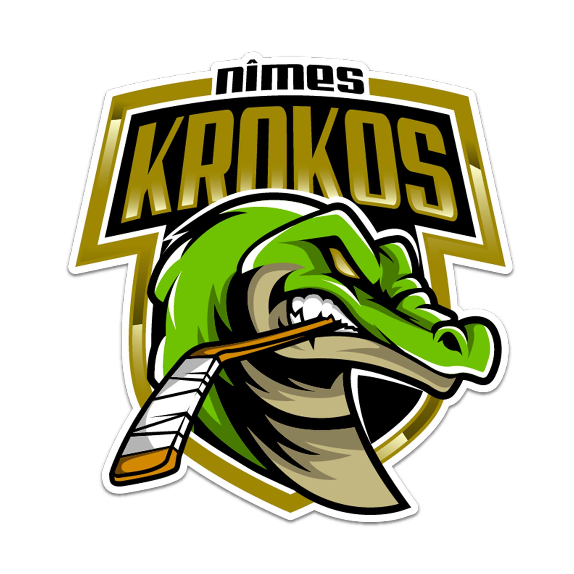 Logo de NIMES HOCKEY